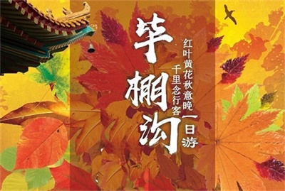 【春花秋葉，夏涼冬雪】-畢棚溝半自由行一日游，成都出發(fā)