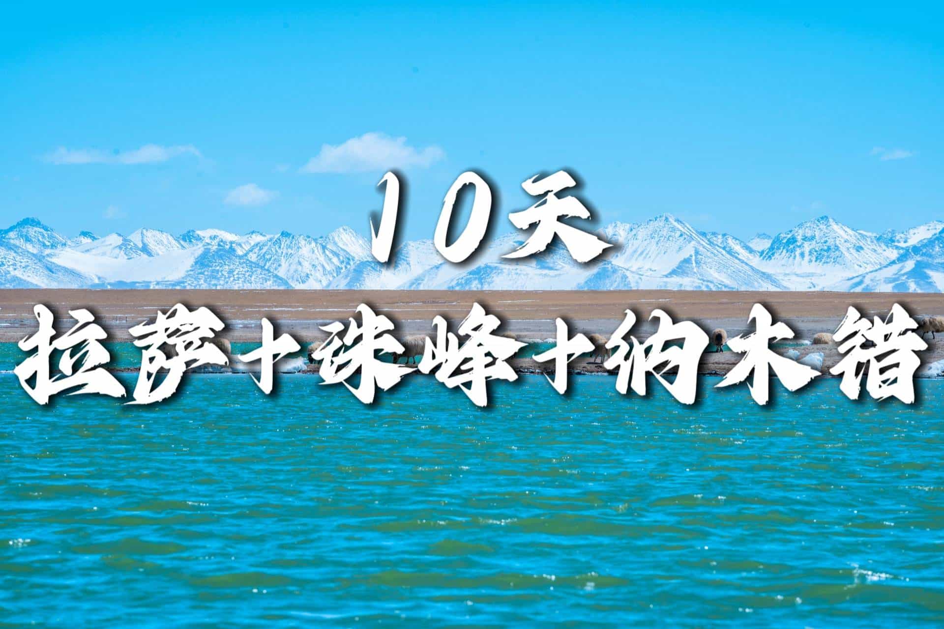 【拉薩+珠峰·+納木錯10天】布達拉宮、大昭寺、羊卓雍錯、珠穆朗瑪、納木錯、當雄草原|各地接團，成都出發！