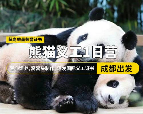 【熊貓義工1日營】添加新鮮竹子，愛心飼養，窩窩頭制作，頒發國際義工證書